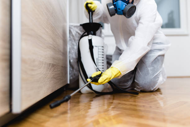 Best Pest Control Near Me  in Willimantic, CT