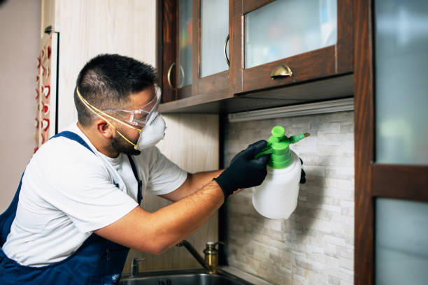 Best Bed Bug Extermination  in Willimantic, CT