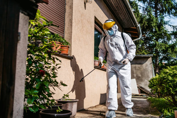 Best Ant Control Services  in Willimantic, CT