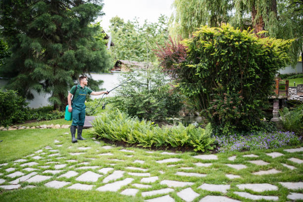 Best Pest Inspection Near Me  in Willimantic, CT