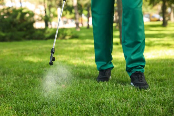 Best Pest Control Treatment  in Willimantic, CT
