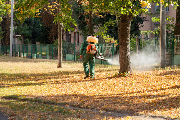 Willimantic, CT Pest Control Company