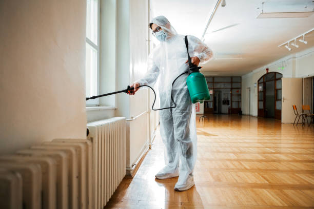 Best Flea Control Services  in Willimantic, CT