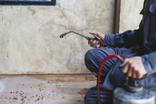 Best Exterminator Services  in Willimantic, CT